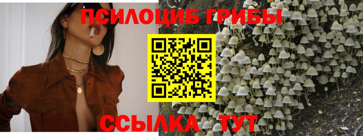 Галлюциногенные грибы мицелий  продажа наркотиков  Елец  Вход с VPN 